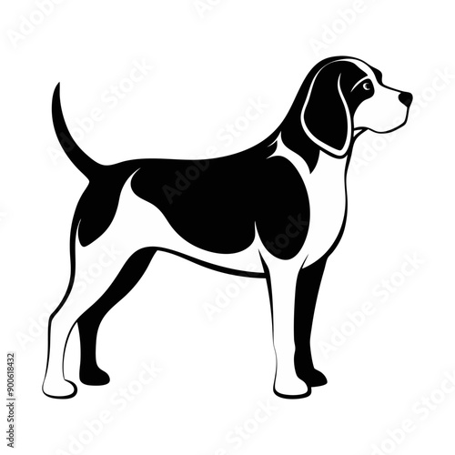 A black and white drawing of a beagle dog on white background