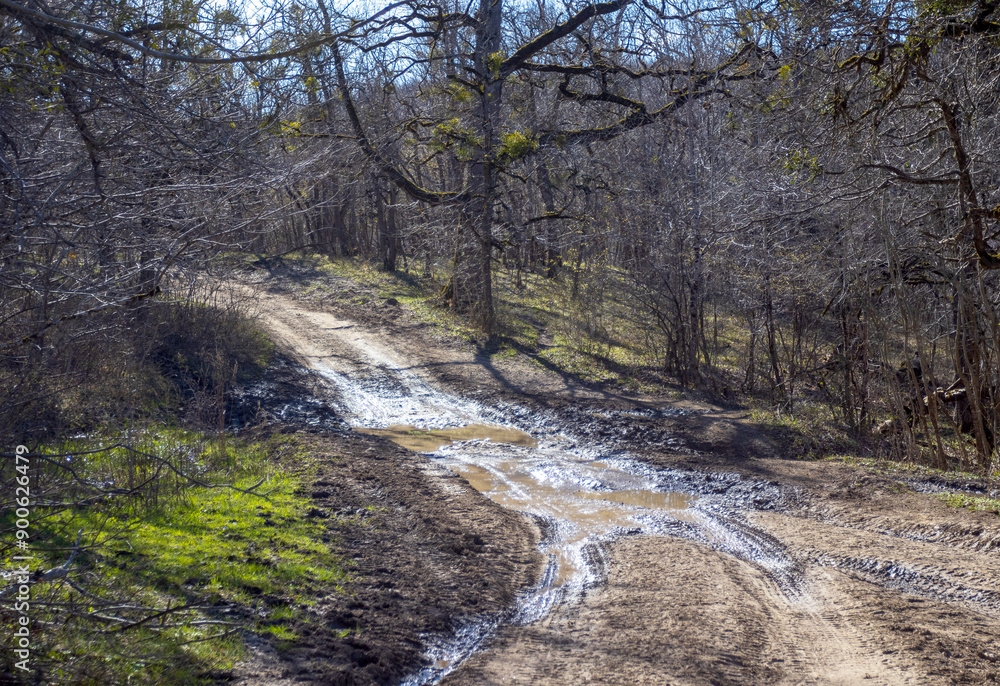 spring walks along the mountain road, forest and panorama of the area spring walks along the mountain road, forest and panorama of the area