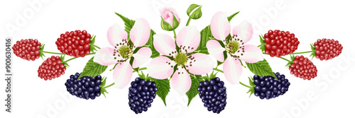 A bouquet with a flower and a blackberry berry. Botanical border.  A garden plant with pink flowers, green leaves and bright red and black berries. Vector illustration.