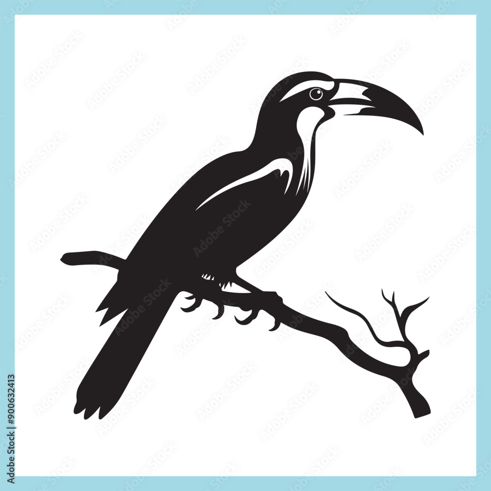 Hornbill silhouette  vector illustration , hand drawn bird 