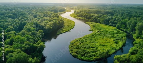 Aerial View of a Serpentine River Winding Through Lush Green Forest