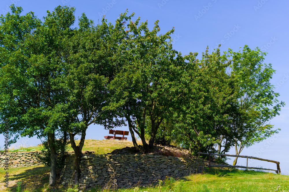 Obraz premium Bench under the trees. Romantic place to relax in nature.