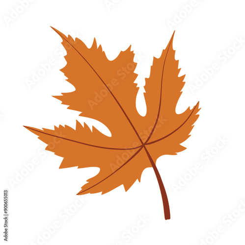 Illustration of autumn maple leaf is isolated on the white background
