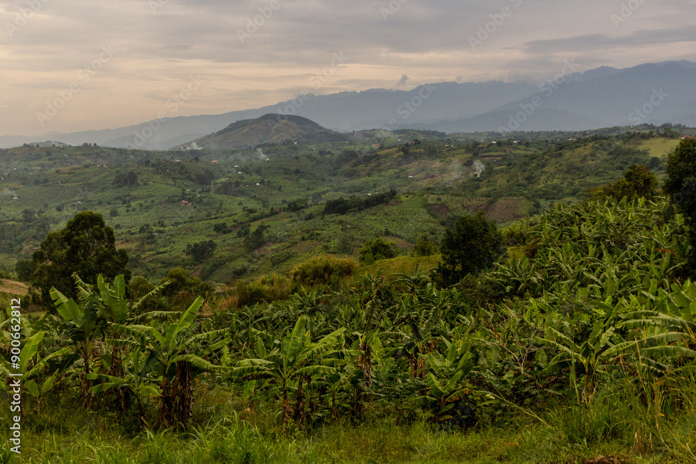 Lush rural landscape of the crater lakes region near Fort Portal, Uganda Lush rural landscape of the crater lakes region near Fort Portal, Uganda