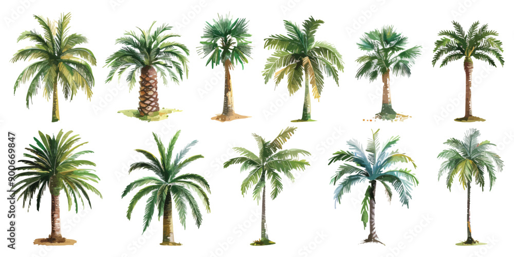 custom made wallpaper toronto digitalSet collection of green palm coconut tree bush forest hand drawn watercolor design resources elements