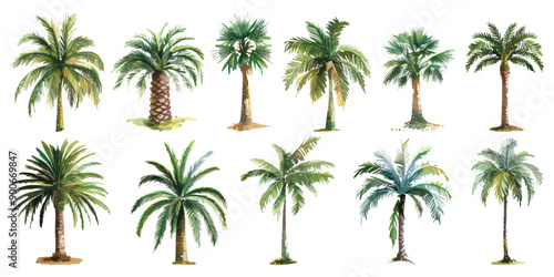 Set collection of green palm coconut tree bush forest hand drawn watercolor design resources elements
