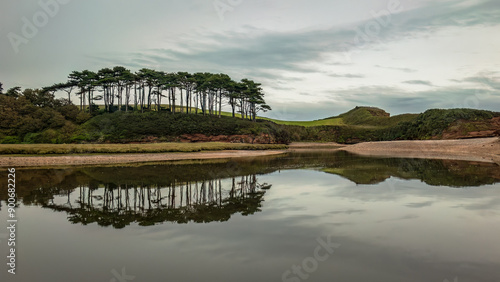 Trees along the beach at River Otter on Budleigh Salterton Beach photo