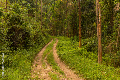 Rural road near Kilembe village, Uganda photo