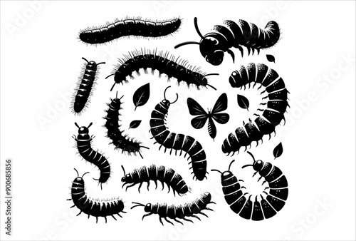 The Art of Insect Vector Illustrations A Guide to Creative Design