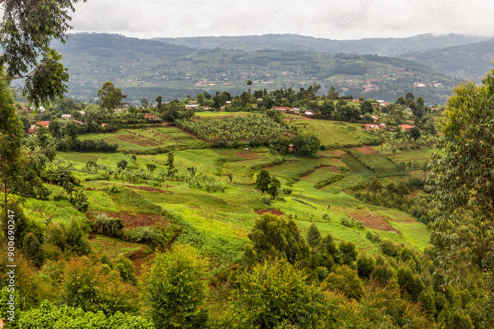 Fototapeta premium Lush landscape near Kabale, Uganda