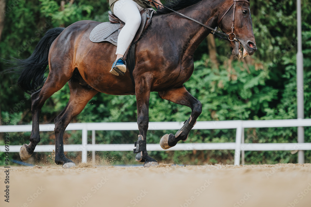 Obraz premium Close-up of a brown horse being ridden in an equestrian event. The image captures the movement and energy in an outdoor arena setting.