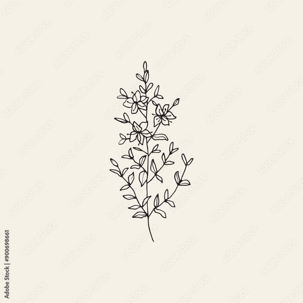 Fototapeta premium Hand drawn St. John's wort illustration