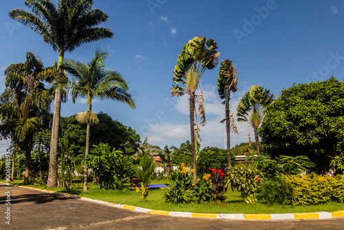 Green lush garden in Entebbe, Uganda