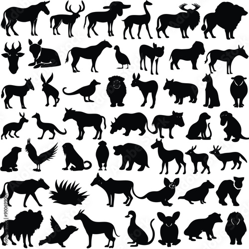 Animals drawn vector illustrations different sorts silhouettes set