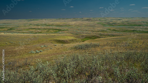 Primitive vistas abound in the East Block of Parks Canada's Grasslands National Park, Saskatchewan.  An unspoiled and desolate remnant of the Great Plains as they once were... photo