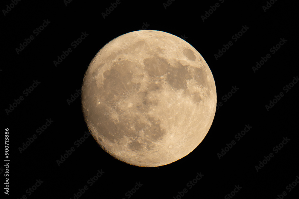 Obraz premium buck moon