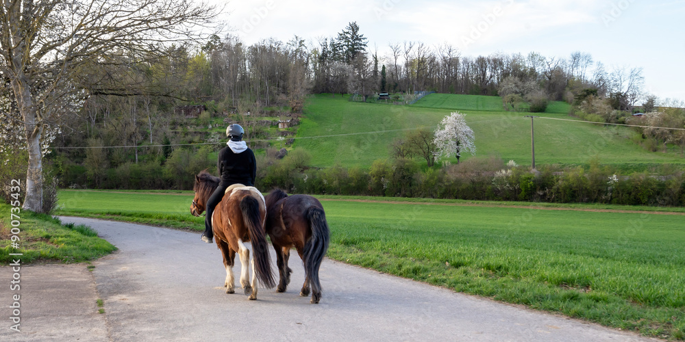 Pferde und Frau Pferde und Frau