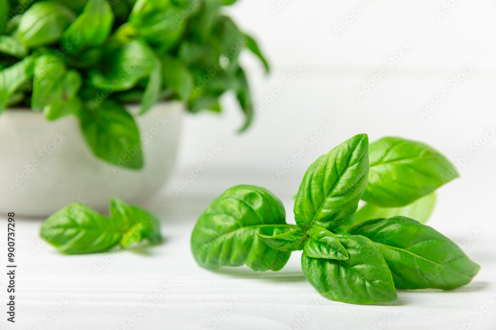 Green basil leaves on a textured wooden background. Kitchen herbs, spices. Fresh green organic basil. Vegan. Greens for salad. Place for text. Copy space. Green basil leaves on a textured wooden background. Kitchen herbs, spices. Fresh green organic basil. Vegan. Greens for salad. Place for text. Copy space.