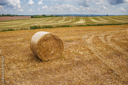 hay bales on harvested wheat field. cattle straw bedding photo