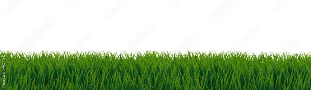 Green Grass Border White Background Green Grass Border White Background