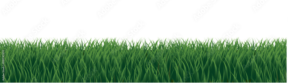eGreenGrassPanoramaAndWhiteBackground_8_240719.eps eGreenGrassPanoramaAndWhiteBackground_8_240719.eps