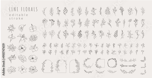 Set of different flowers, brunch and frames from flat editable stroke. Luxury line floral collection for wedding invitation art, design template. Botanical vector