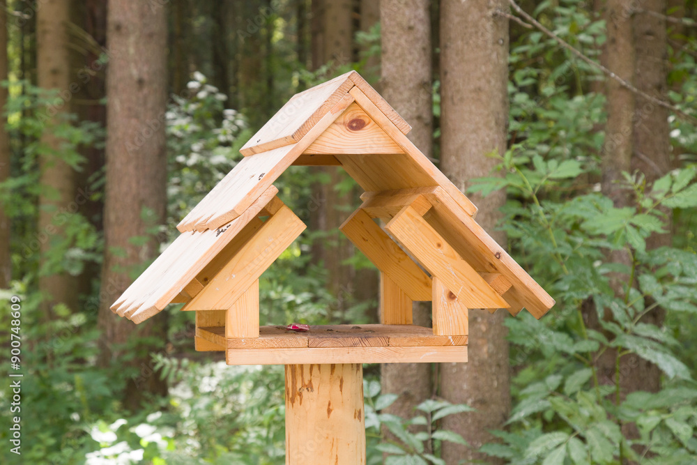 Bird feeder in the park. Feeding birds in the park. Bird feeder in the park. Feeding birds in the park.