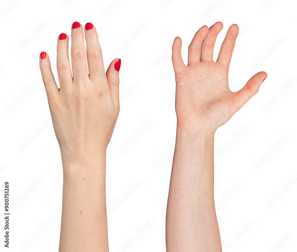 Hands taking, holding, grabbing gesture from back and front side, isolated on white background.., transparent PNG Hands taking, holding, grabbing gesture from back and front side, isolated on white background.., transparent PNG