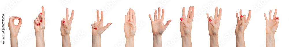 Sign language for counting numbers from zero, one to five, ten, set isolated on white background.., transparent PNG Sign language for counting numbers from zero, one to five, ten, set isolated on white background.., transparent PNG