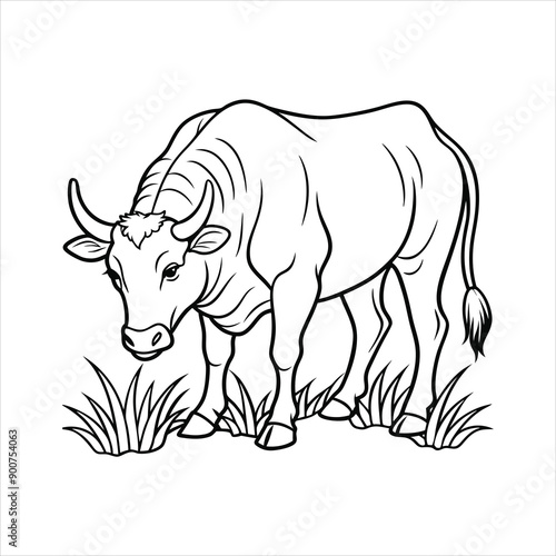 A bull is eating grass in the field vector © Shajamal