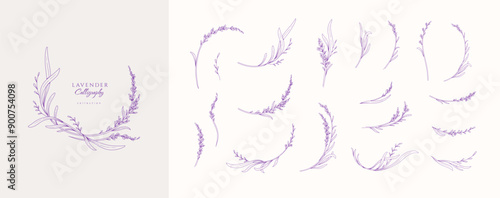 Set of lavender calligraphic design elements, floral frame and graceful branches. Wedding wildflowers for invitation save the date card. Botanical feminine rustic vector illustration.