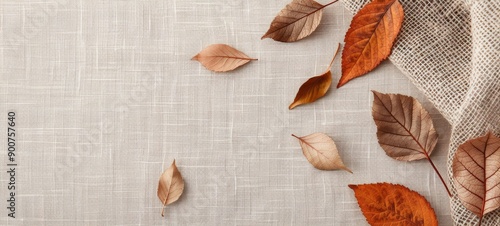 Dried Leaves and Berries on White Background