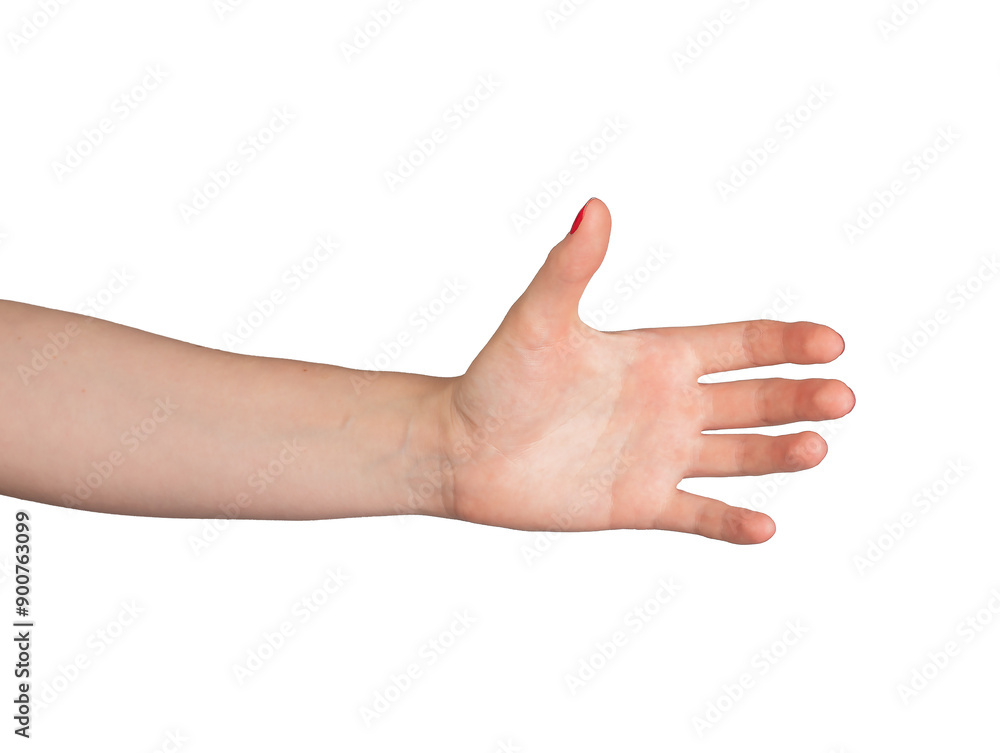 A hand showcasing an elegant gesture of holding an invisible object or bottle, displayed in both dorsal and palmar views. The isolated hand, set against a white background,., transparent PNG A hand showcasing an elegant gesture of holding an invisible object or bottle, displayed in both dorsal and palmar views. The isolated hand, set against a white background,., transparent PNG