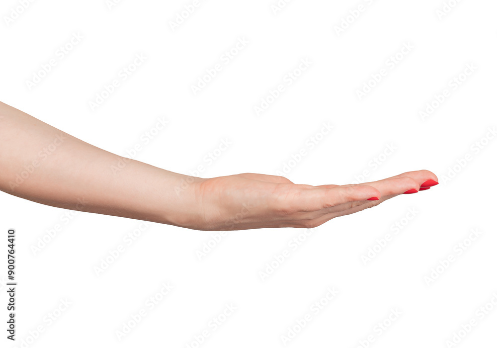 Outstretched hand with an empty palm, symbolizing charity and support. Elegant gesture, isolated on white background, with red manicure and beautiful, delicate design. of a hand., transparent PNG Outstretched hand with an empty palm, symbolizing charity and support. Elegant gesture, isolated on white background, with red manicure and beautiful, delicate design. of a hand., transparent PNG