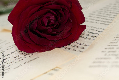 book and rose