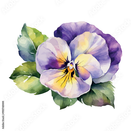 Vector beautiful watercolor pink, purple and violet pansy.