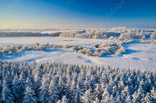 Winter landscape with a snowy forest. The concept of the onset of winter