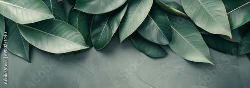 Tropical Leaf Background