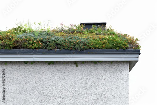 a green roof on a building with a chimney photo