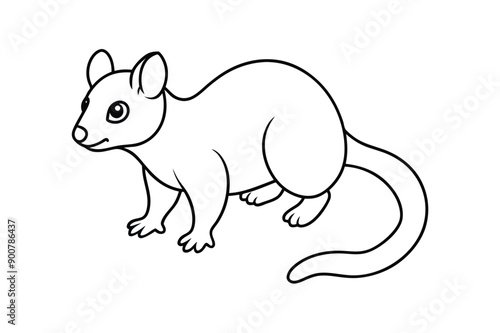 Possum Coloring Page vector line art © Shajamal