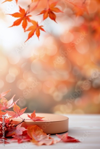 Autumn Leaves and Platform
