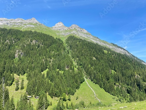 landscape with trees