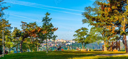 A rustic wooden lookout structure stands at Branik Rocks Natural Park, framed by lush trees under a clear blue sky, offering a scenic view of the surrounding landscape. Prague, Czechia