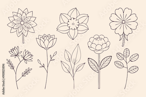 Simple line drawings of various flowers for coloring and art
