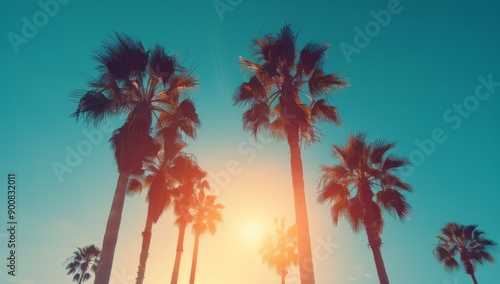 Palm Trees Silhouette Against Sunny Sky