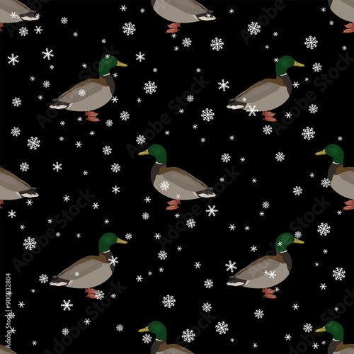 Seamless seasonal animal pattern with male mallards and snowflakes. Winter design with wild ducks. Anas platyrhynchos. On black background.