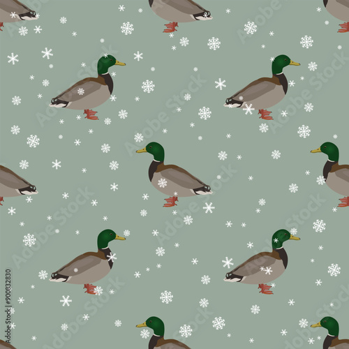 Seamless seasonal animal pattern with male mallards and snowflakes. Winter design with wild ducks. Anas platyrhynchos.