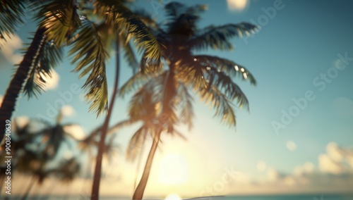 Palm Trees at Sunset