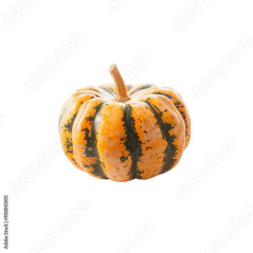 pumpkin background-less