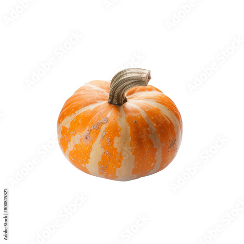 pumpkin background-less